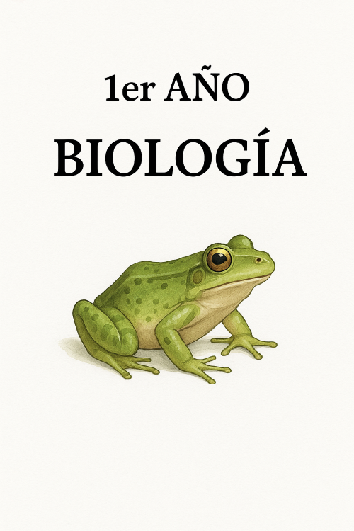 1er año