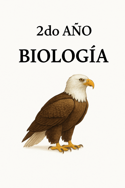 2do año
